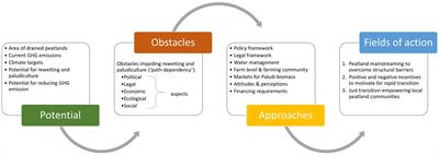 Unlocking the potential of peatlands and paludiculture to achieve Germany’s climate targets: obstacles and major fields of action